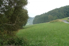 Alarmübung-Mauloff-0121
