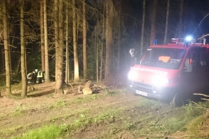 2016-09-07-09 Übung mit  Anhänger Beleuchtung