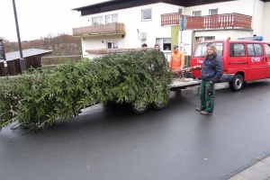 2016 Weihnachtsbaum Stellen