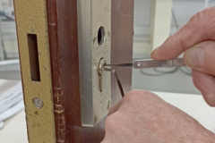 245912177_4343819682372484_6060175509965226859_n